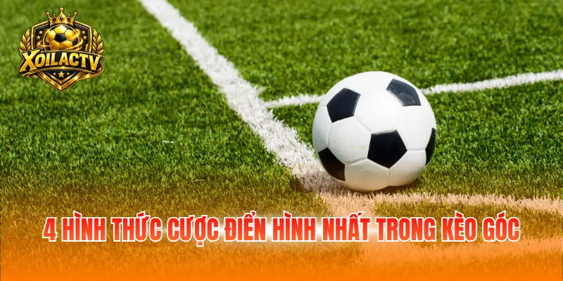 4 hình thức cược điển hình được ưa chuộng nhất