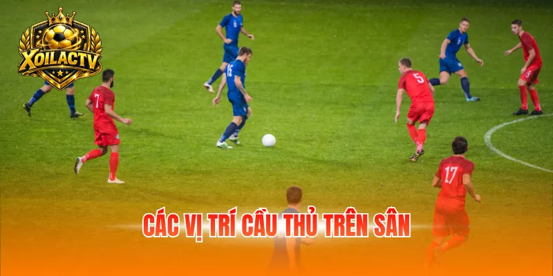 Các vị trí cầu thủ trên sân