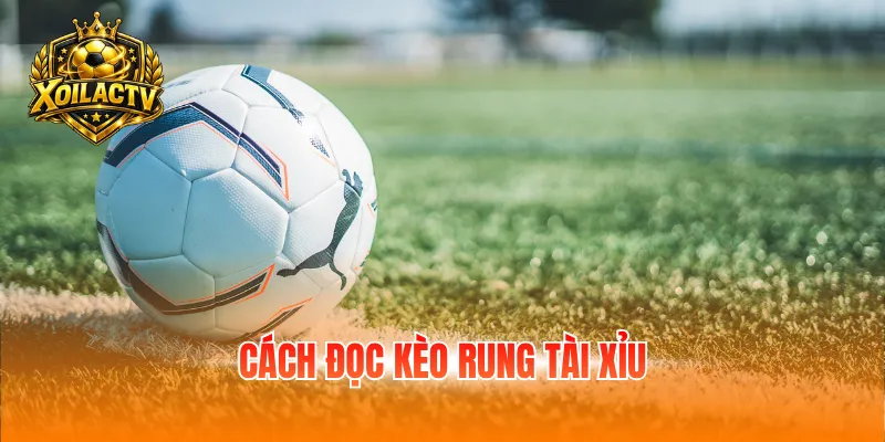 Cách đọc kèo rung tài xỉu