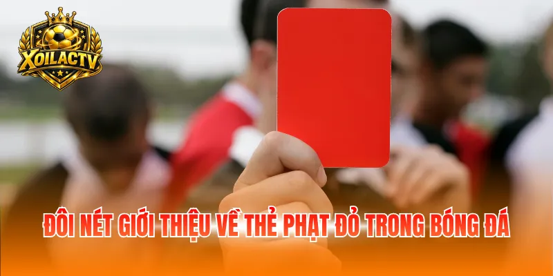 Đôi nét giới thiệu về thẻ phạt đỏ trong bóng đá