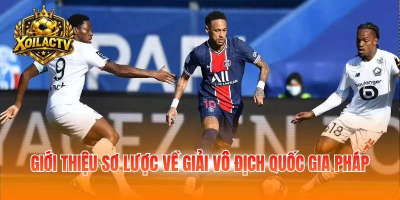 Giới thiệu sơ lược về giải vô địch quốc gia Pháp