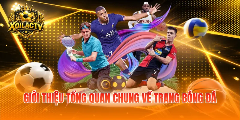 Giới thiệu tổng quan chung về trang bóng đá