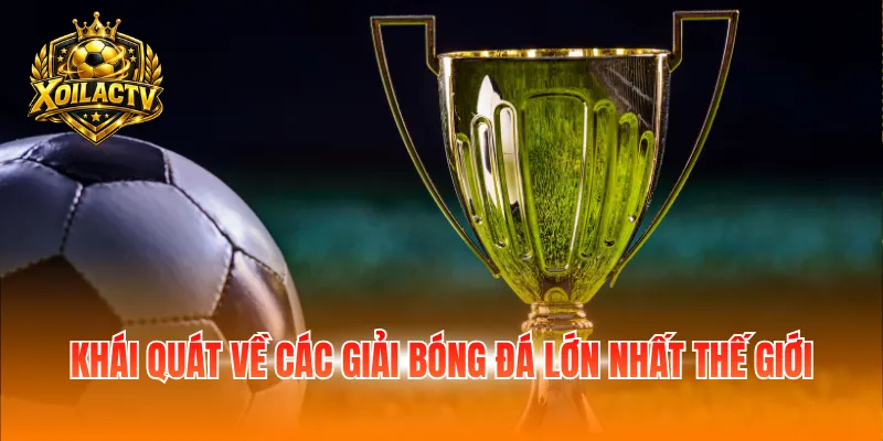 Khái quát về các giải bóng đá lớn nhất thế giới