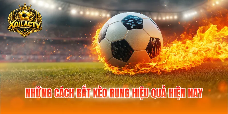 Những cách bắt kèo rung hiệu quả hiện nay