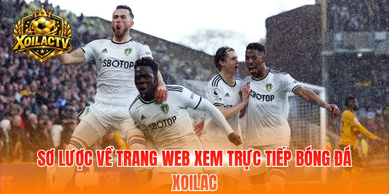 Sơ lược về trang web xem trực tiếp bóng đá XOILAC
