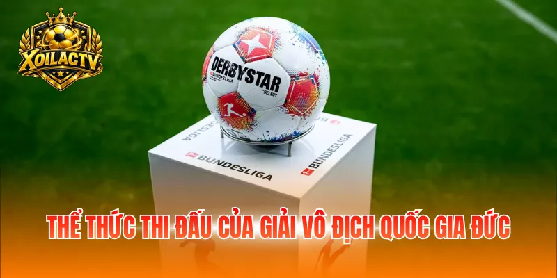 Thể thức thi đấu của giải vô địch cấp quốc gia Đức