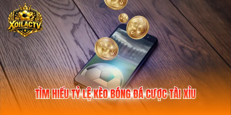 Tìm hiểu tỷ lệ kèo bóng đá cược tài xỉu