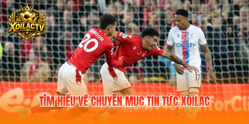 Tìm hiểu về chuyên mục tin tức Xoilac