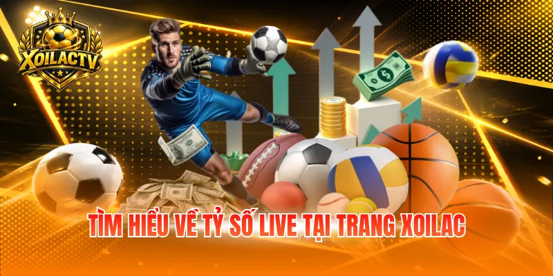 Tìm hiểu về tỷ số live tại trang Xoilac