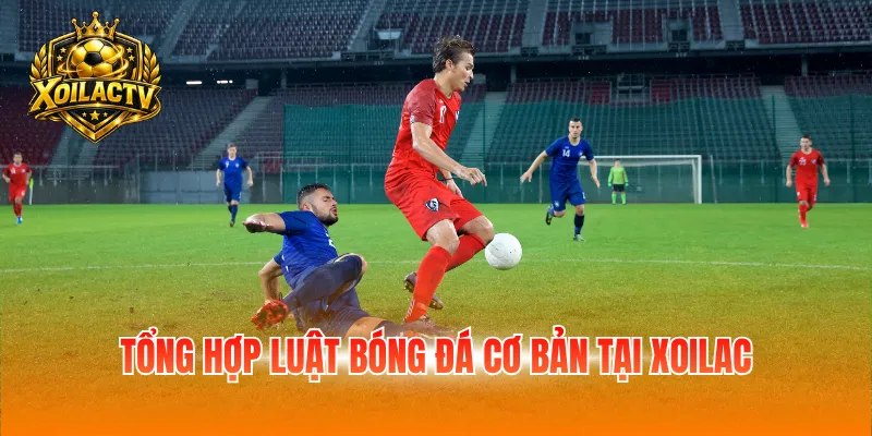 Tổng hợp luật bóng đá cơ bản tại Xoilac