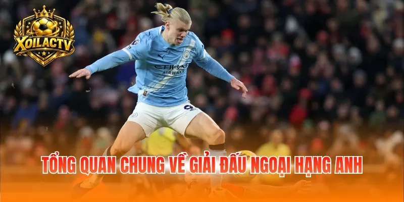 Tổng quan chung về giải đấu ngoại hạng Anh