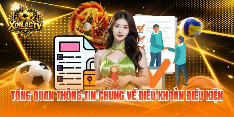 Tổng quan thông tin chung về điều khoản điều kiện