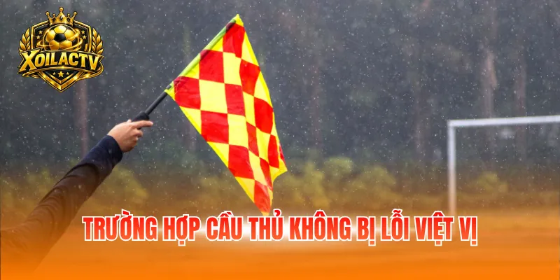 Trường hợp cầu thủ không bị lỗi việt vị