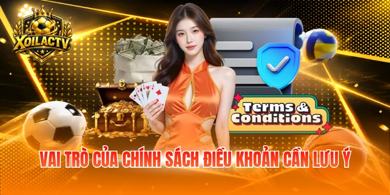 Vai trò của chính sách điều khoản cần lưu ý