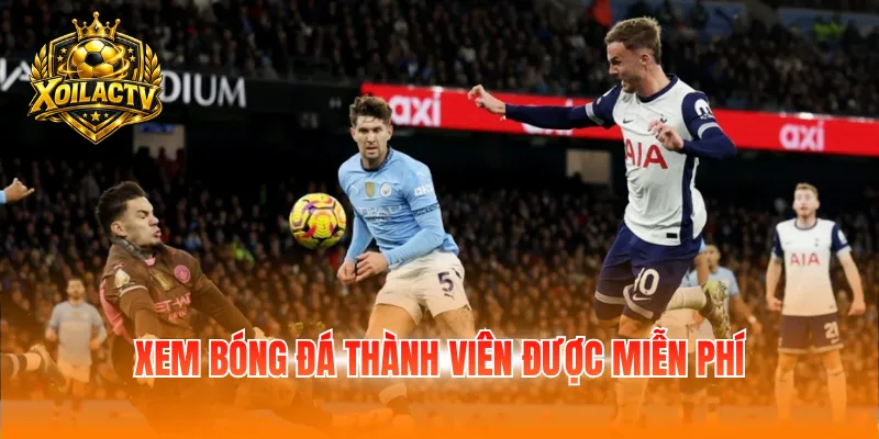 Xem bóng đá thành viên được miễn phí