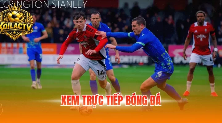 Xem trực tiếp bóng đá