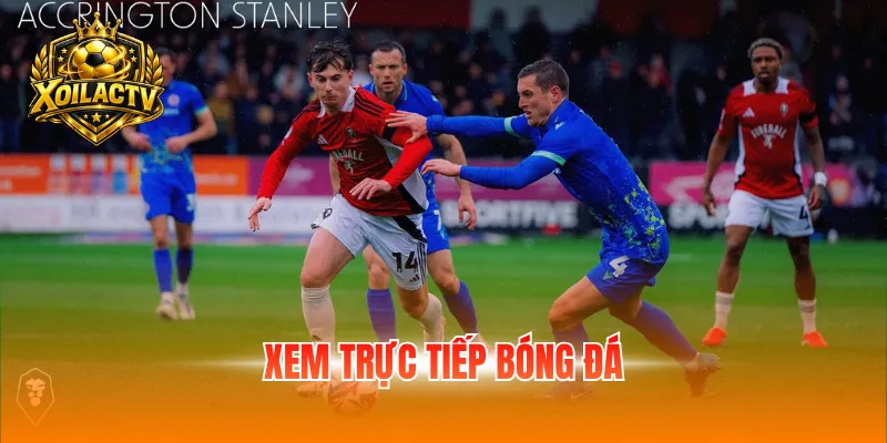 Xem trực tiếp bóng đá